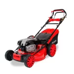 Benzininė vejapjovė RIDER R53-B