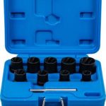 Specialus galvučių rinkinys / sraigtiniai ištraukikliai  | 10 mm (3/8") | 10 - 19 mm | 10 vnt. (5265)