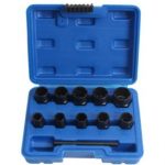 Specialus galvučių rinkinys / sraigtiniai ištraukikliai | 9 - 19 mm | 11 vnt. (SK201611)