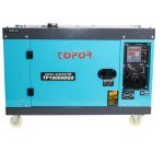 Dyzelinis generatorius (vienfazis) TP10000DGS