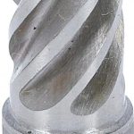 Plėstuvas | skirtas BGS 65520 | Ø 15 mm, ilgis 23 mm (65521)
