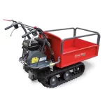 BLUE BIRD CARRIER 300 benzininis karutis