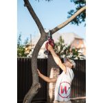 Akumuliatorinis MINI grandininis pjūklas 20V LI-ION WORCRAFT CHSS20LiBPN - Image 6