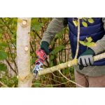 Akumuliatorinis tiesinis genėjimo pjūklas 12V LI-ION CSS12Li - Image 9