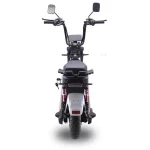 Elektrinis motoroleris E-baldur A9 EEC 1000W 20Ah DAYI MOTOR - Image 21