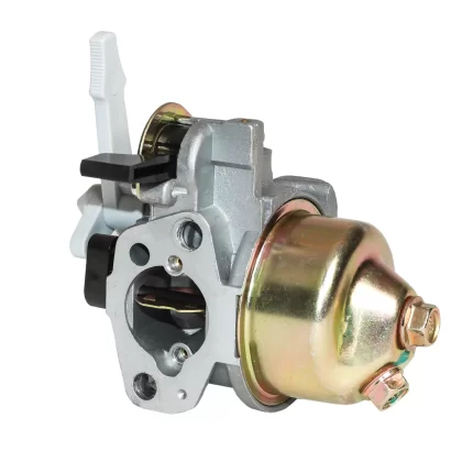 Karbiuratorius BS-220X