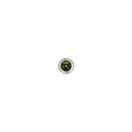 DT3773 DeWALT betono pjovimo diskas 230 mm