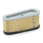 Oro filtras Briggs & Stratton #493909
