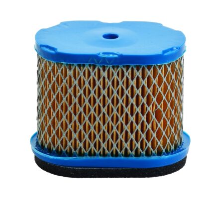 Oro filtras Briggs & Stratton  5.5, 6.5 Ag Intek Pro varikliams #690610