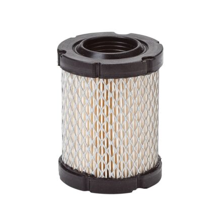 Oro filtras Briggs & Stratton 9-12.5 Ag varikliams (#796032)