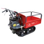 BLUE BIRD CARRIER 300 benzininis karutis